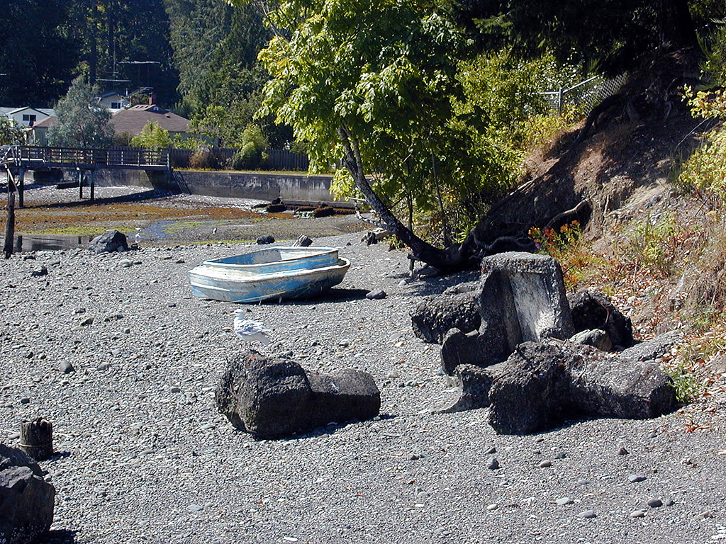03-Aug-2000
Washington (State)
Waterfront of Hood Canal near Olympia