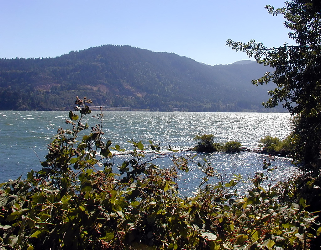 03-Aug-2000
Washington (State)
The view across the Columbia River