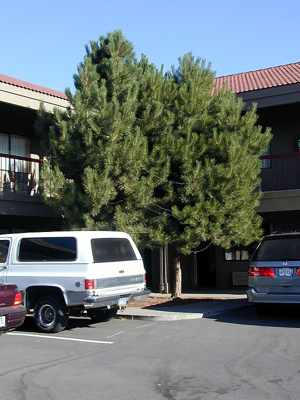 04-Aug-2000
Bend., OR
Best Western, Bend