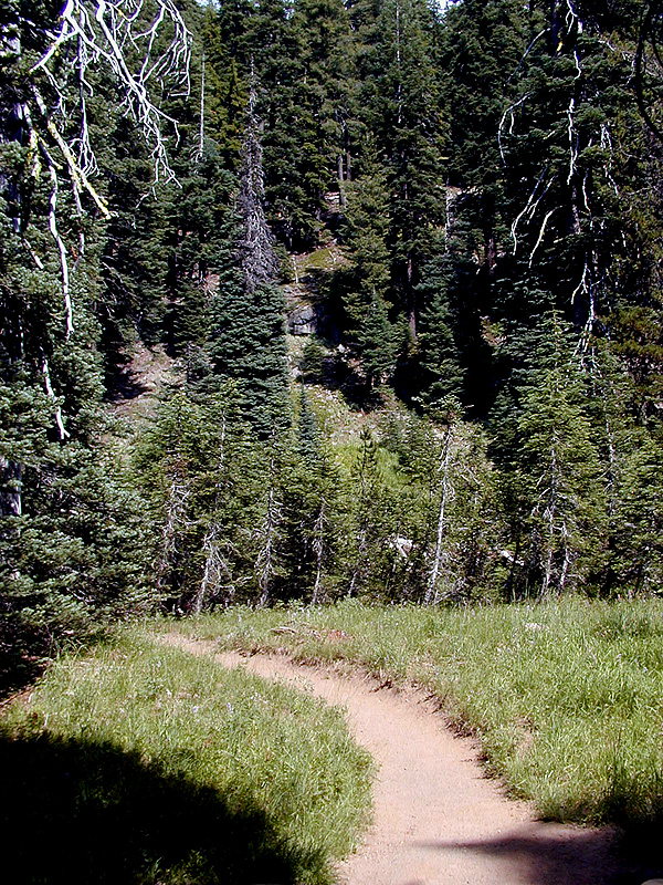 04-Aug-2000
Crater Lake, OR
Castle Crest Wildflower Trail