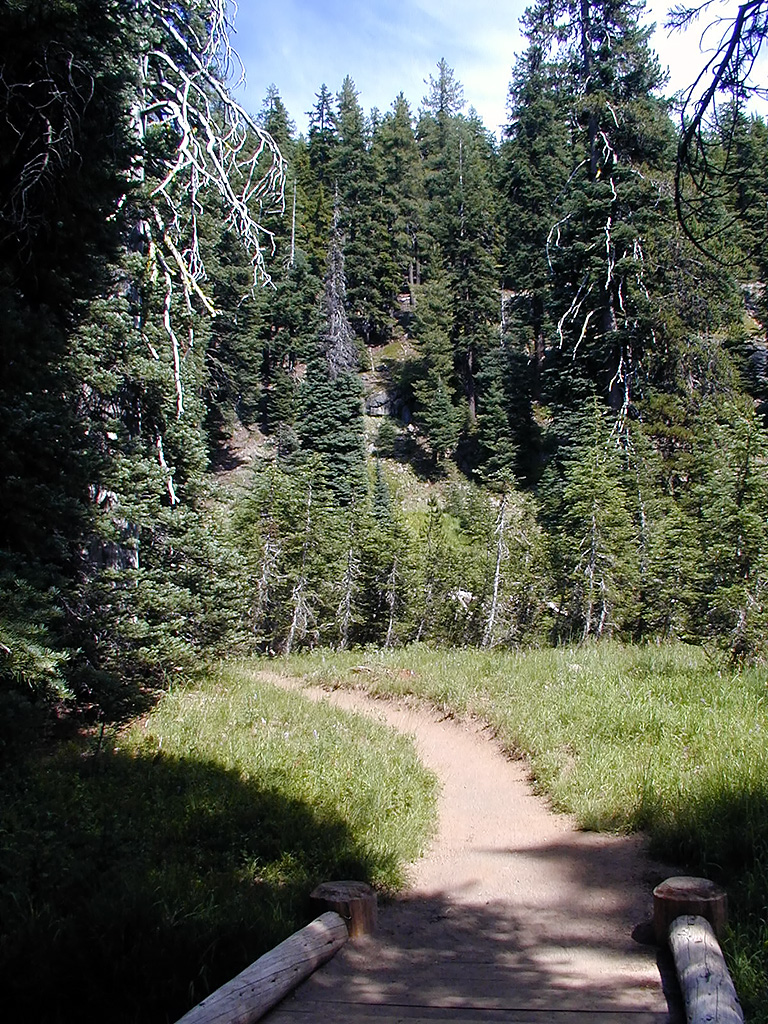 04-Aug-2000
Crater Lake, OR
Castle Crest Wildflower Trail