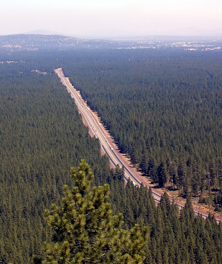 05-Aug-2000
Lavaland, OR
Lava Butte - Road towards Bend