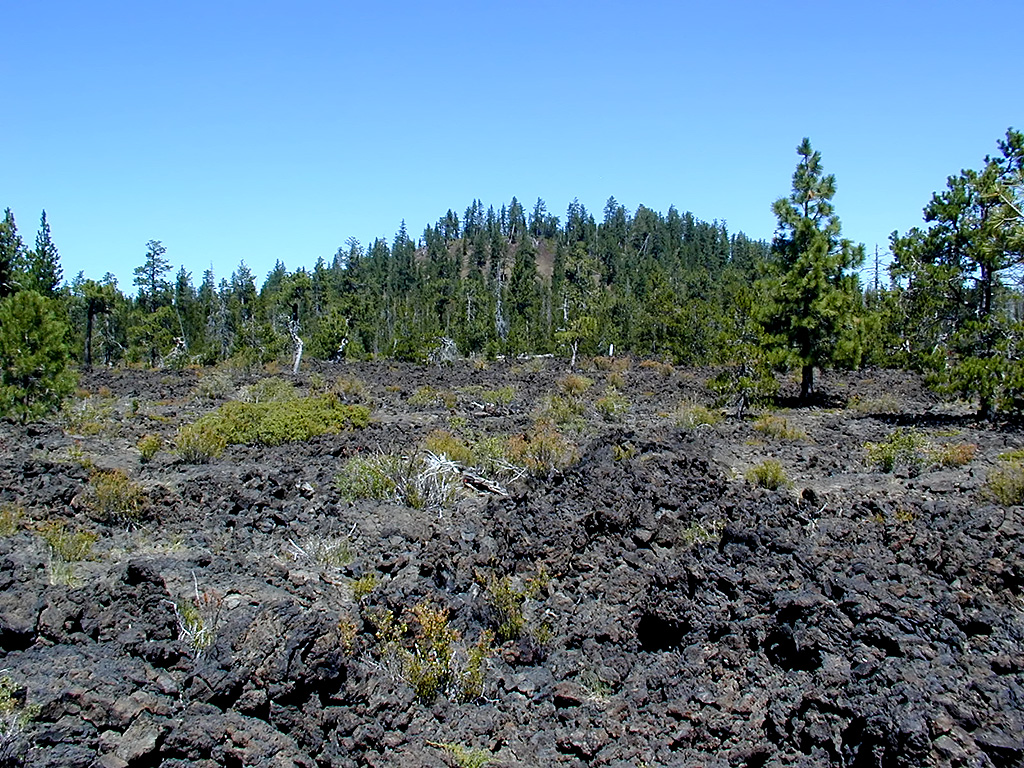 05-Aug-2000
Lava Cast Forest, OR
Lava flow