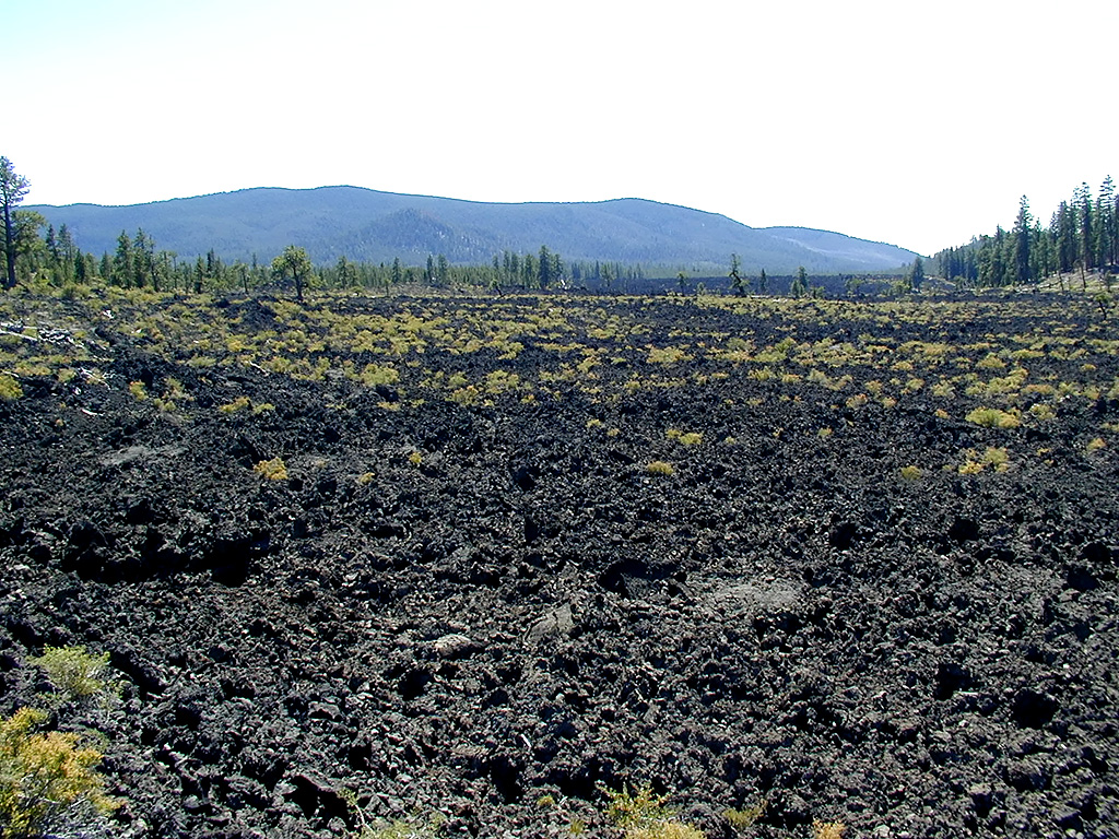 05-Aug-2000
Lava Cast Forest, OR
Barren lava flow