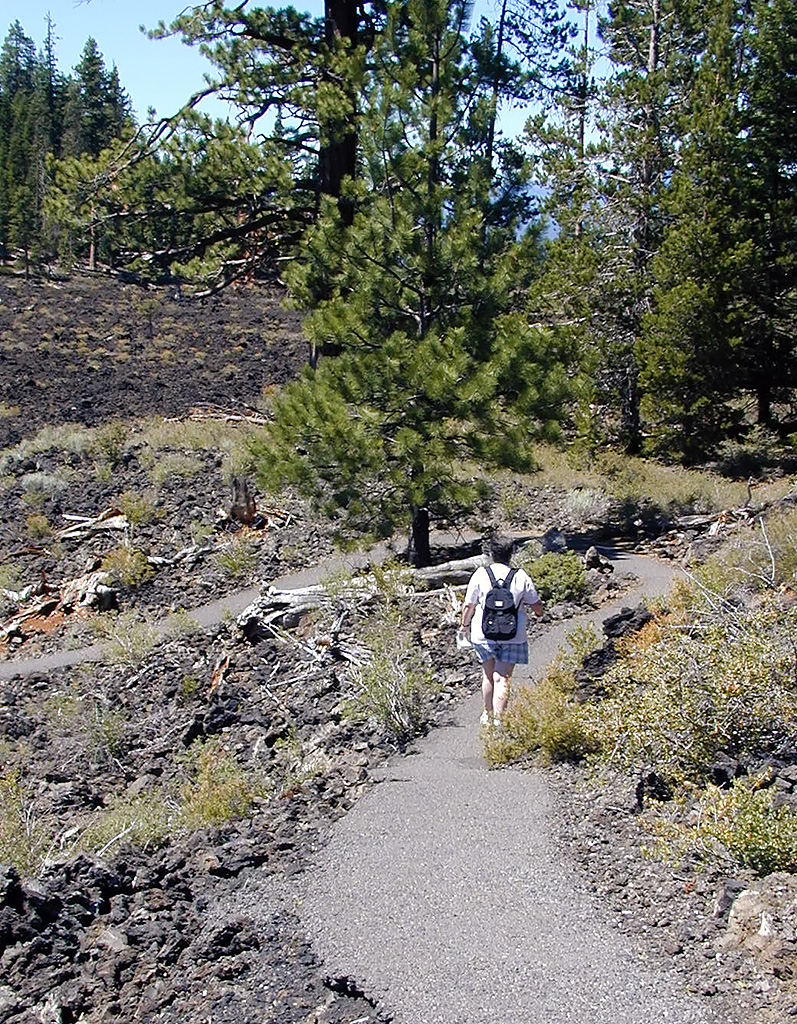 05-Aug-2000
Lava Cast Forest, OR
Sue on the path