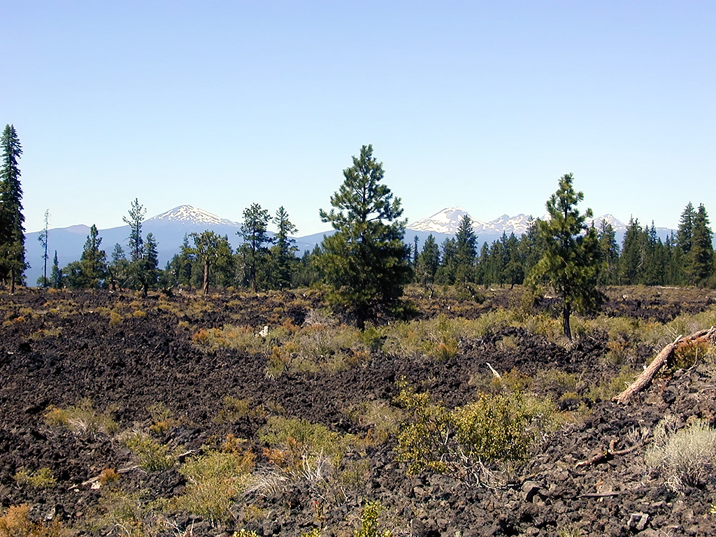 05-Aug-2000
Lava Cast Forest, OR
Lava field and snow covered mountains