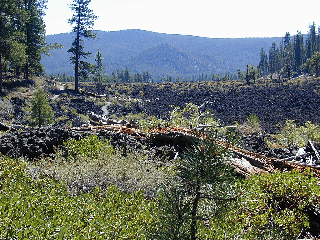 05-Aug-2000
Lava Cast Forest, OR
Lava Cast Trail