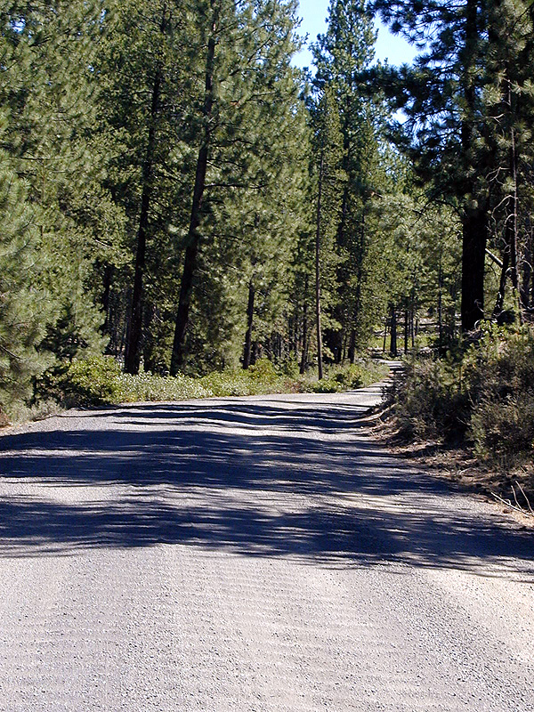 05-Aug-2000
Lava Cast Forest, OR
Gravel road