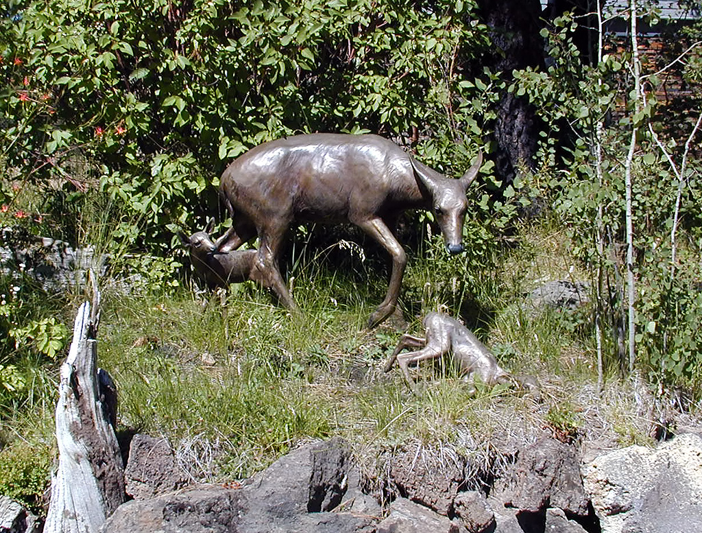 05-Aug-2000
Bend, OR
High Desert Museum - Bronze Deer