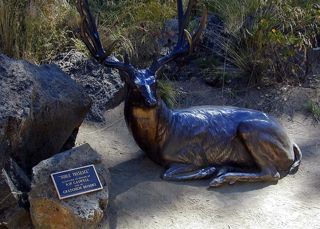05-Aug-2000
Bend, OR
High Desert Museum - Bronze Deer