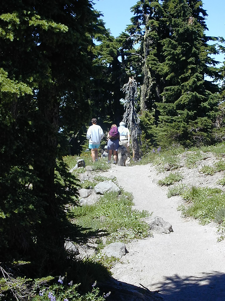 06-Aug-2000
Mount Hood, OR
Pacific Crest Trail