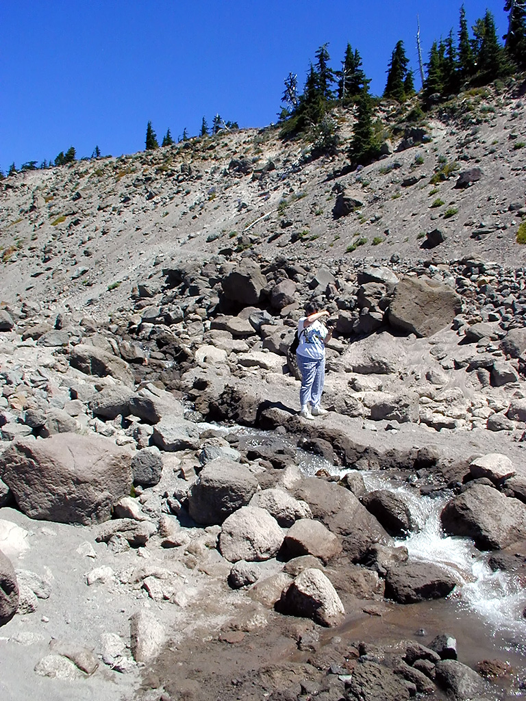 06-Aug-2000
Mount Hood, OR
Sue by a small stream