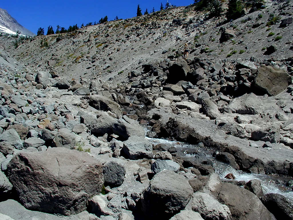 06-Aug-2000
Mount Hood, OR
A small stream