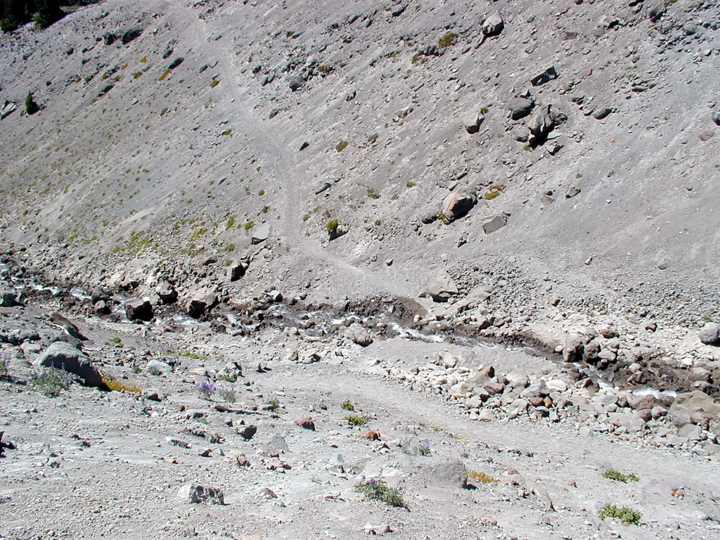 06-Aug-2000
Mount Hood, OR
A small stream