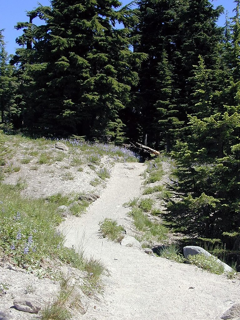06-Aug-2000
Mount Hood, OR
The Pacific Crest Trail