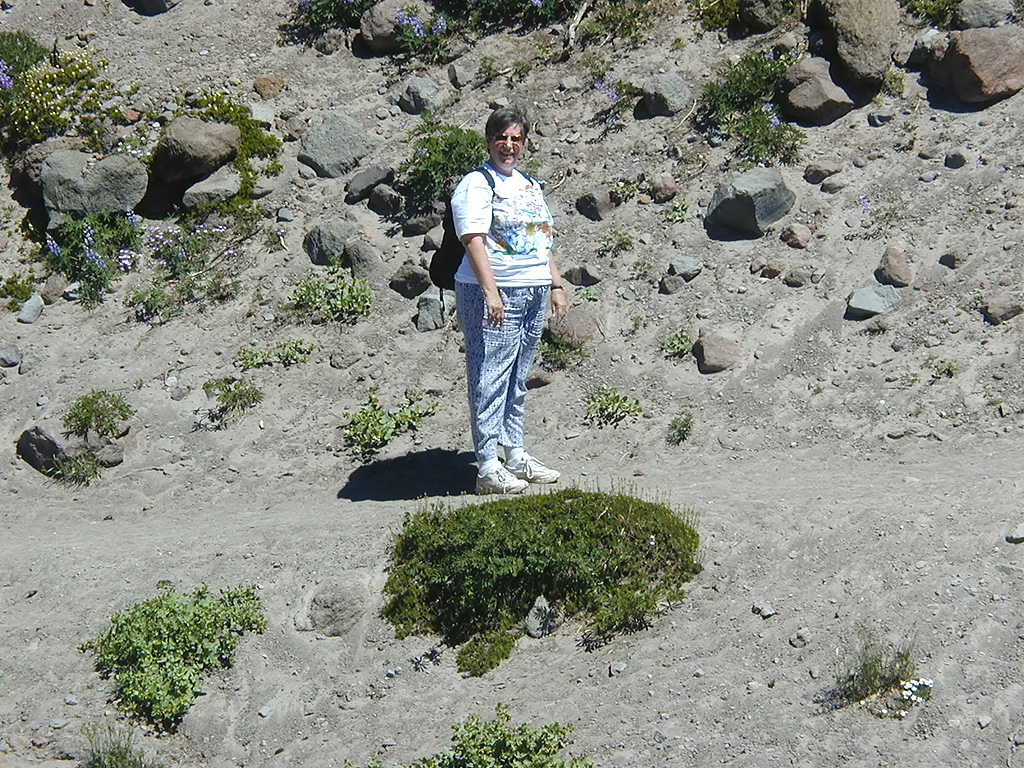 06-Aug-2000
Mount Hood, OR
Sue on The Pacific Crest Trail