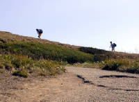 01-Aug-2000
Olympic National Park, WA
Hikers on the High Ridge Trail
