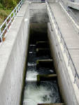 28-Jul-2000
Seattle
Chittenden Locks - Fish ladder