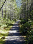 29-Jul-2000
Newhalem, WA
River Loop Trail 
