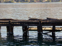 30-Jul-2000
Lake Chelan, WA
Lake Chelan Airways jetty at Lake Chelan