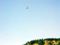 30-Jul-2000
Lake Chelan, WA
Float plane flying overhead