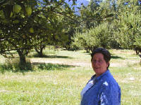 30-Jul-2000
Stehekin, WA
Sue at Buckner's Orchard