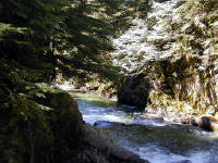 31-Jul-2000
Deception Falls, WA
Rapids