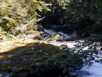 31-Jul-2000
Deception Falls, WA
Rapids