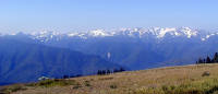01-Aug-2000
Olympic National Park, WA
The Olympic Mountains from Hurricane Ridge