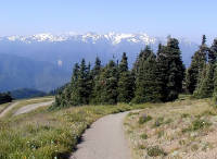 01-Aug-2000
Olympic National Park, WA
The High Ridge Trail and Mt. Olympus range
