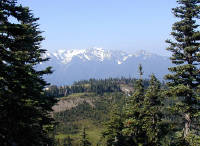 01-Aug-2000
Olympic National Park, WA
Looking South from Sun-Up point towards Hurricane Ridge Lodge