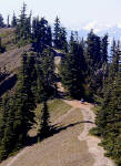 01-Aug-2000
Olympic National Park, WA
Looking down the trail from Sun-up Point