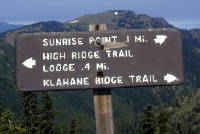 01-Aug-2000
Olympic National Park, WA
Trail marker
High Ridge trail was only supposed to be .5 mile, so the distance back from the mid-way point suggests a problem somewhere