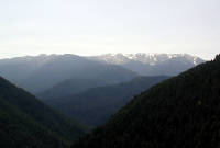 01-Aug-2000
Olympic National Park, WA
From viewpoint part way down to the coast