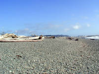 01-Aug-2000
Olympic National Park, WA
Rialto Beach - Tree trunks scattered on the pebbles