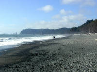 01-Aug-2000
Olympic National Park, WA
Rialto Beach - The beech looking North