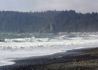 01-Aug-2000
Olympic National Park, WA
Rialto Beach - The beach looking North