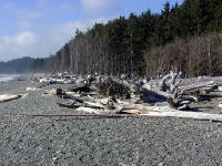 01-Aug-2000
Olympic National Park, WA
Rialto Beach - Logs on the beach