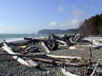 01-Aug-2000
Olympic National Park, WA
Rialto Beach - Logs on the beach