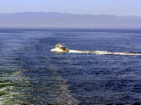 02-Aug-2000
Victoria, BC
Prince of Whales boat