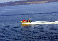 02-Aug-2000
Victoria, BC
Prince of Whales boat