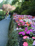 02-Aug-2000
Butchart Gardens - Victoria, BC 
Flowerbed in the sunken gardens