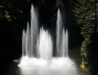 02-Aug-2000
Butchart Gardens - Victoria, BC 
Dancing fountains