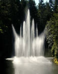 02-Aug-2000
Butchart Gardens - Victoria, BC 
Dancing fountains