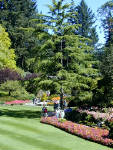 02-Aug-2000
Butchart Gardens - Victoria, BC 
The sunken gardens