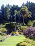 02-Aug-2000
Butchart Gardens - Victoria, BC 
The sunken gardens