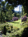 02-Aug-2000
Butchart Gardens - Victoria, BC 
The sunken gardens