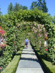 02-Aug-2000
Butchart Gardens - Victoria, BC 
Avenue of flowers in the rose garden
