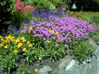 02-Aug-2000
Butchart Gardens - Victoria, BC 
Mixture of colours