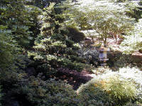 02-Aug-2000
Butchart Gardens - Victoria, BC 
Japanese Garden